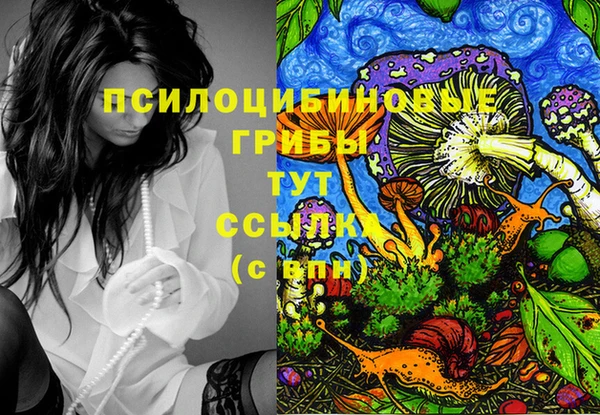 таблы Богородицк