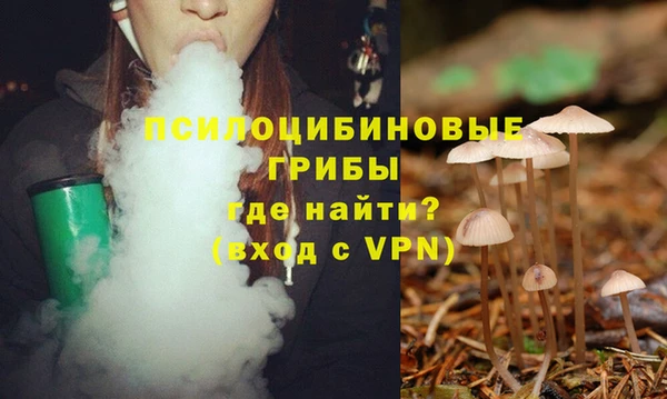 мет Богданович