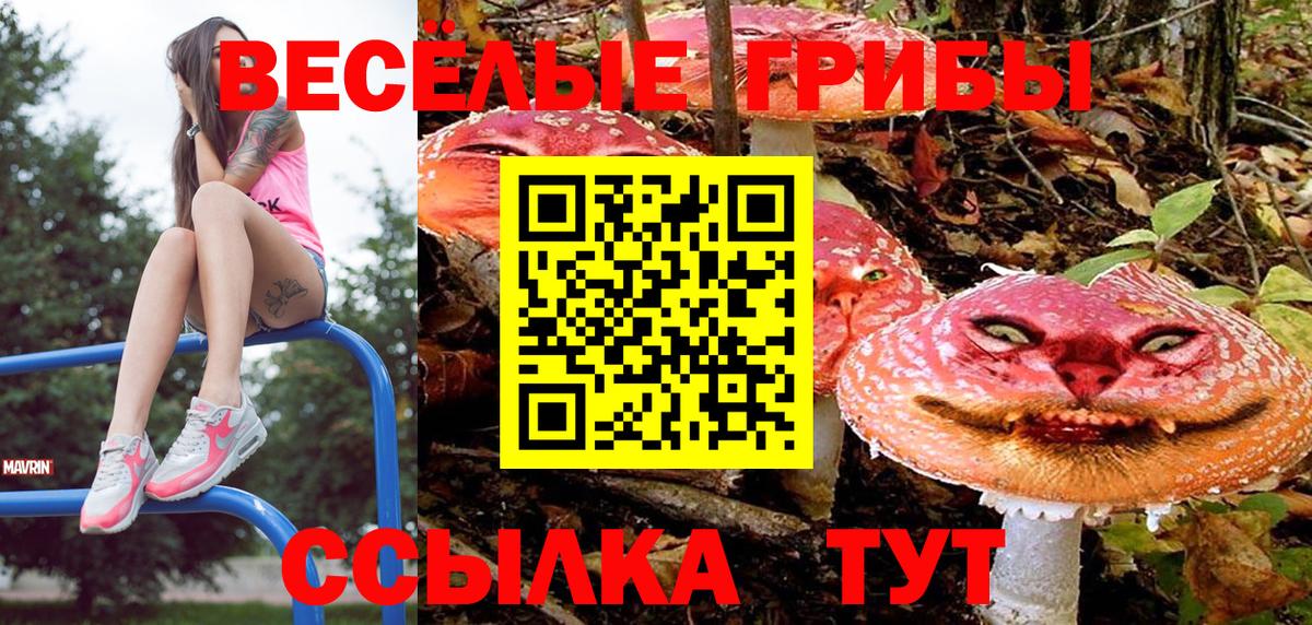 Буйнакск  купить закладку  Псилоцибиновые грибы мицелий  Вход с VPN  Псилоцибиновые грибы Cubensis 