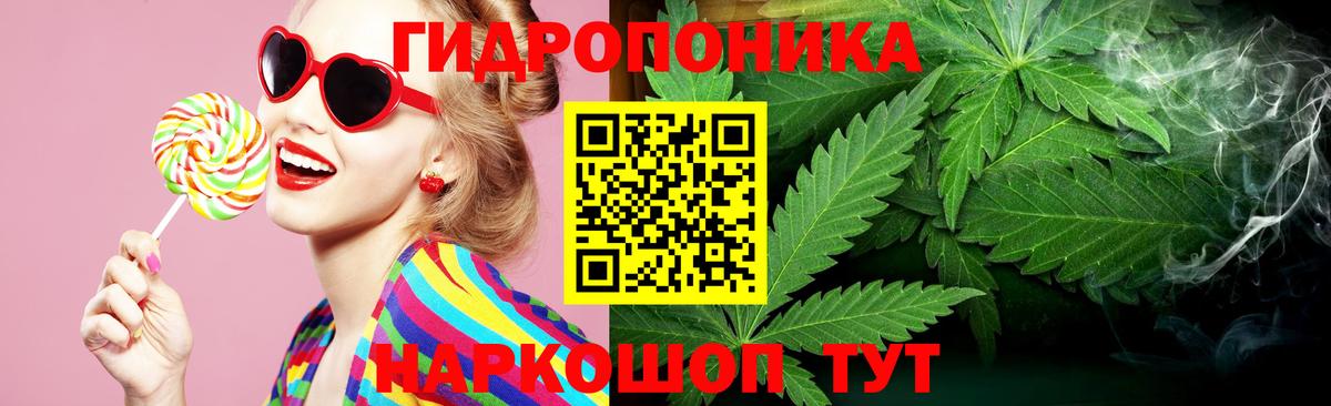 Канабис OG Kush Буйнакск